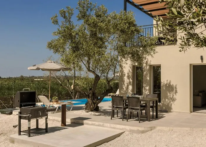 Olive Grove
