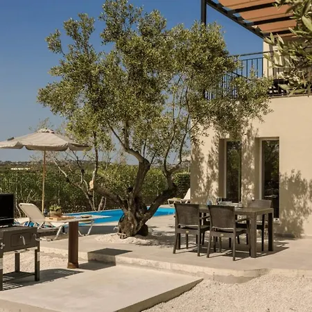 Olive Grove